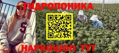 мескалин Северобайкальск